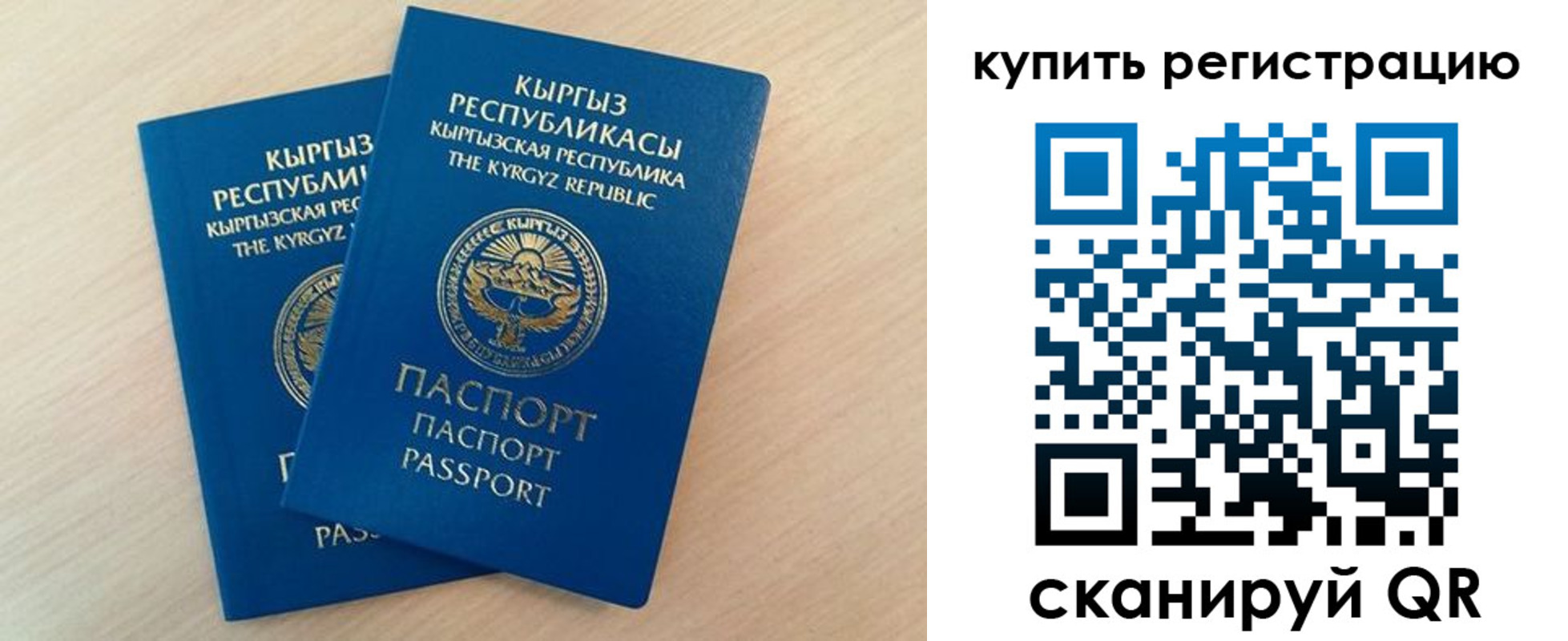 временная регистрация поиск в Калининградской области