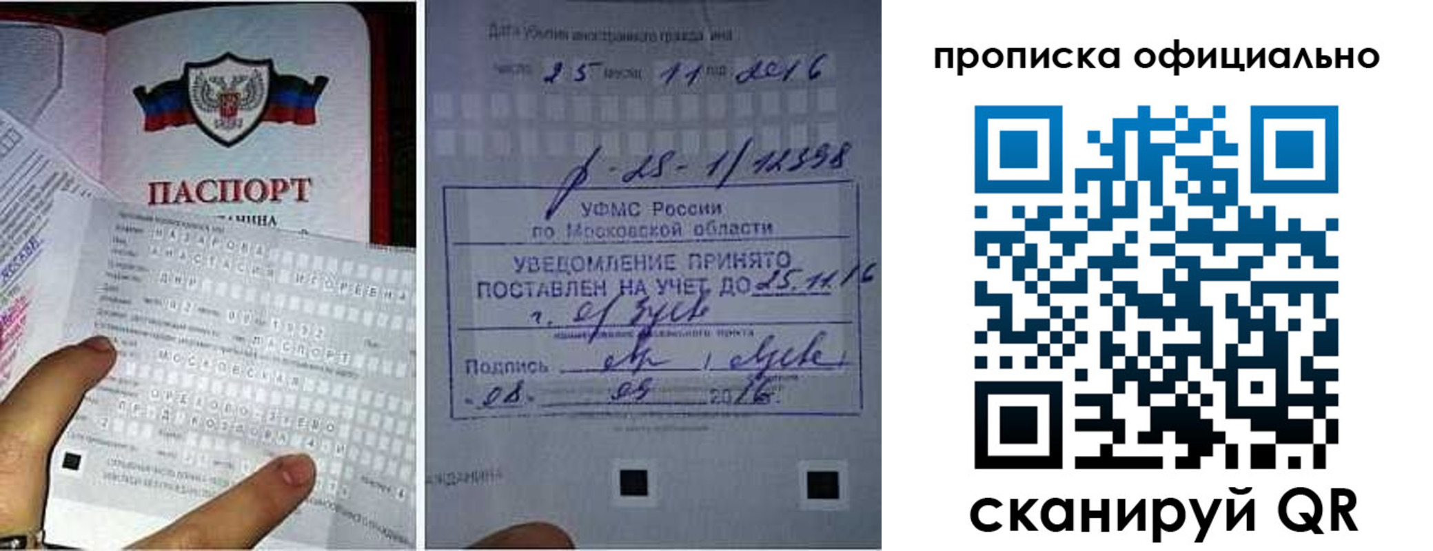 прописка паспорт в Калининградской области
